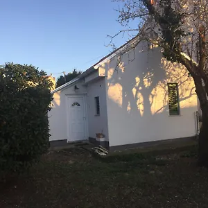 https://villa-mediterranea-apartments.in-istria.net